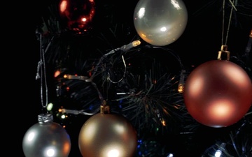 2025 Col. Norton and Family Holiday Greetings