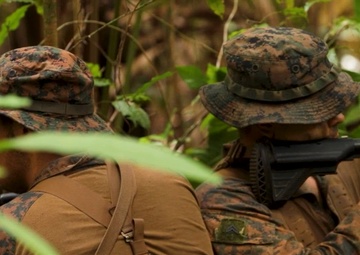 Combined Jungle Operations Training Course 26-2: Overall Video