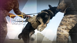 MDW MARCO, A Job well done! Let’s go home.