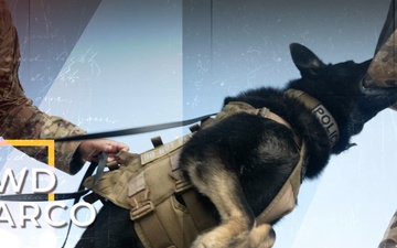 MDW MARCO, A Job well done! Let’s go home.