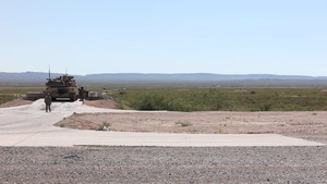 Wishes Do come True B-roll