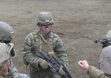 ARTP 25.3 | U.S. Marines Conduct Small Arms Live-Fire Training B-Roll