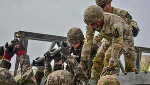 Warrior Legacy 2025 - Division Year in Review - Quarter 2