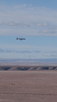 1st ANGLICO: Steel Knight 25 Reel