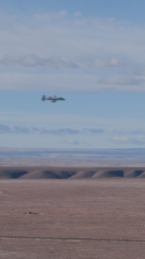 1st ANGLICO: Steel Knight 25 Reel