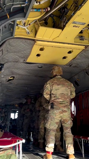 503rd MP Battalion conducts a Regimental Jump during U.S. Army Military Police Regimental week at Fort Leonard Wood (Vertical)