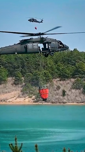 2025 National Guard Year in Review: Homeland