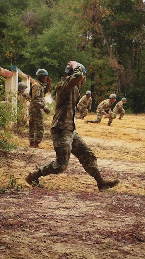 Alpha Company, 1st Battalion, 19th Infantry Regiment, 198th Infantry Brigade Sand Hill Obstacle Course Reel