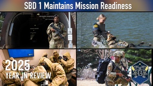 SBD 1 Year in Review 2025