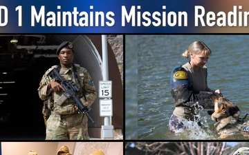 SBD 1 Year in Review 2025