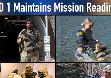 SBD 1 Year in Review 2025