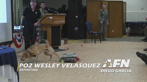 Diego Garcia celebrates retirement for U.K. military working dog