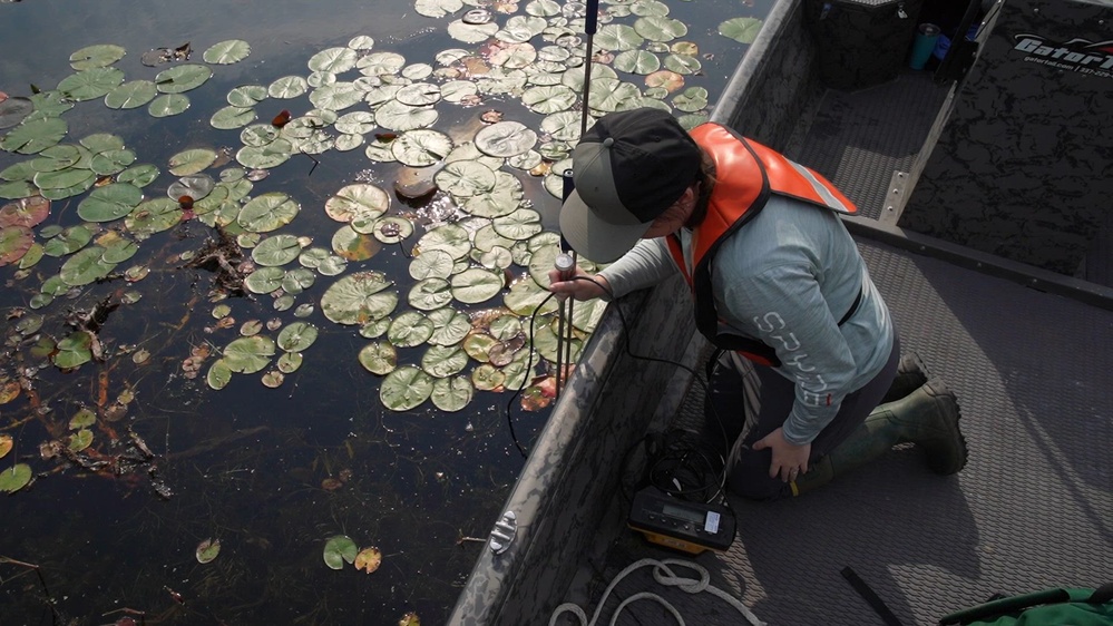 DVIDS - Video - A Critical Resource | Wild Rice