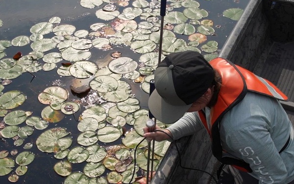A Critical Resource | Wild Rice