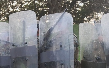 31st MEU conducts NEO exercise 2025 | B-Roll