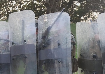 31st MEU conducts NEO exercise 2025 | B-Roll