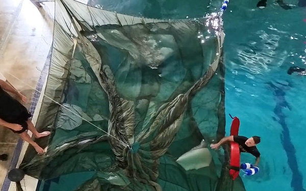 Navigating the canopy with wet silk training