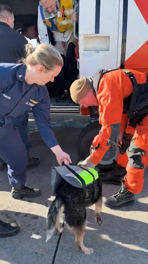 Coast Guard rescues family, pets off Cape Hatteras, North Carolina