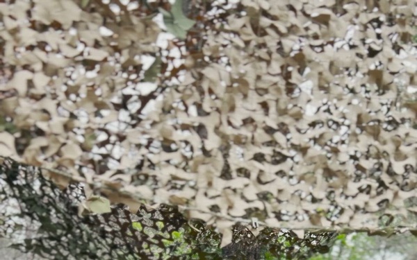 301st MEB Conducts CSTX 24-02