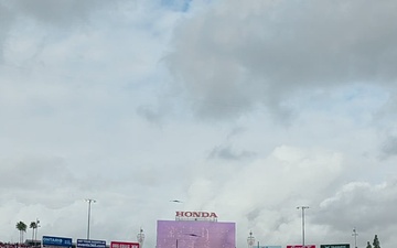 2026 Rose Bowl flyover
