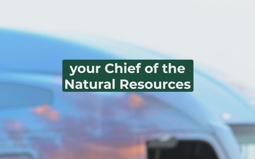 Dishin' the Dirt: The People's Tree