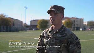 K9 holistic health is doggone delightful