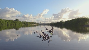 Río Puerto Nuevo Flood Risk Management Project