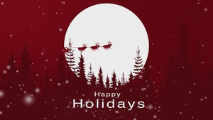 51st Fighter Wing Holiday Message