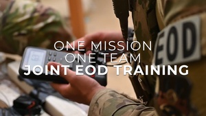 One Mission, One Team, Joint EOD Training