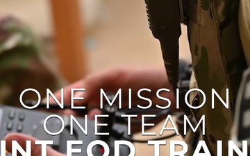One Mission, One Team, Joint EOD Training