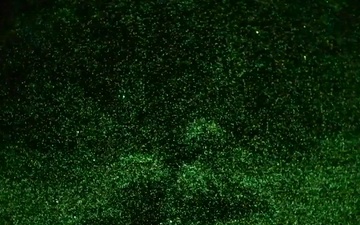 178th Wing Security Forces 2025 Annual Training B-Roll