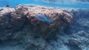 KYANG Airmen hone skills in Hawaii