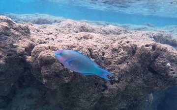 KYANG Airmen hone skills in Hawaii