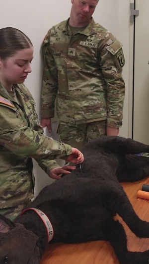 Reel: U.S. Army medic prepares for SETAF-AF Best Medic Competition