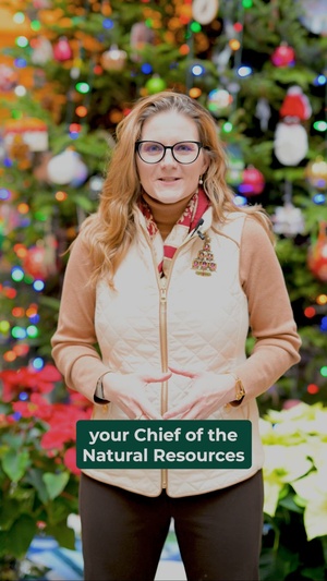 Dishin' the Dirt: "O Christmas Tree"