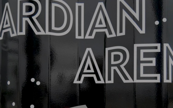 Guardian Arena III (2025)