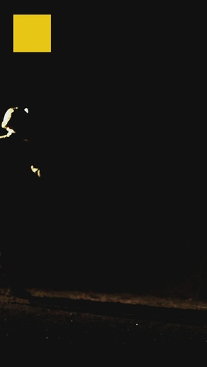 1st Cavalry Division Spur Ride Reel