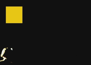 1st Cavalry Division Spur Ride Reel