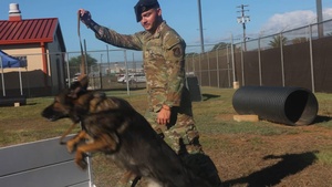 Explosive Detection Dog and Handler Maintain JBPHH Security from Military's Largest Joint Kennel