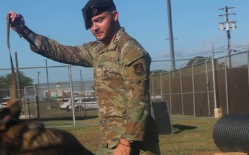Explosive Detection Dog and Handler Maintain JBPHH Security from Military's Largest Joint Kennel
