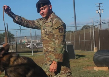Explosive Detection Dog and Handler Maintain JBPHH Security from Military's Largest Joint Kennel