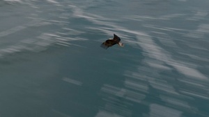 Eighth Army Best Medic Competition 2026