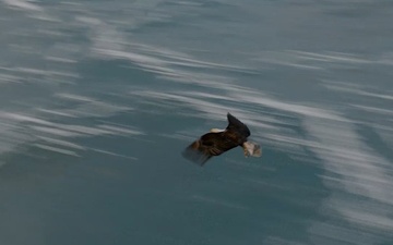 Eighth Army Best Medic Competition 2026