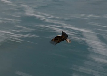 Eighth Army Best Medic Competition 2026