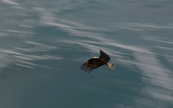 Eighth Army Best Medic Competition 2026