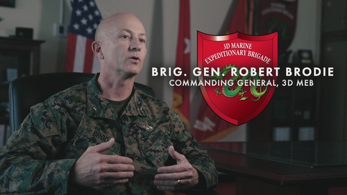 Crisis to Kinetic: 3d MEB Answers the Call