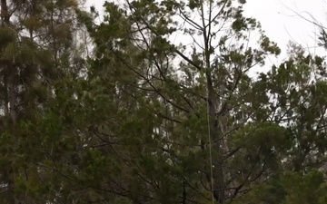 Jungle Medicine Training Course: Field Training Exercise B-Roll 2