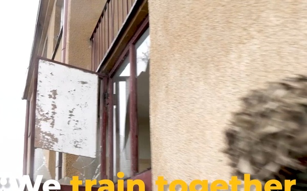 NATO’s presence in Poland (mastersubs)