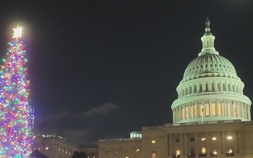 2025 U.S. Capitol Christmas Tree Tour