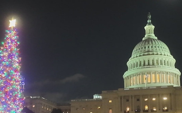 2025 U.S. Capitol Christmas Tree Tour
